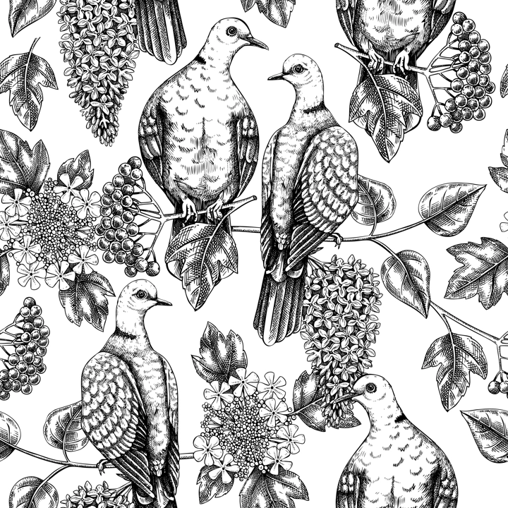 Collared dove sitting on flowering lilac branch sketch. Vector spring seamless pattern isolated on white background. Hand drawn bird on blooming lilac with leaves and flowers background for print